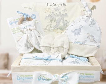 Panier cadeau bébé garçon, Vêtements de bébé dinosaure, Fait main bio, Cadeau de baby shower, Vêtements bio pour bébé, Trousse de soin pour bébé, Préhistorique