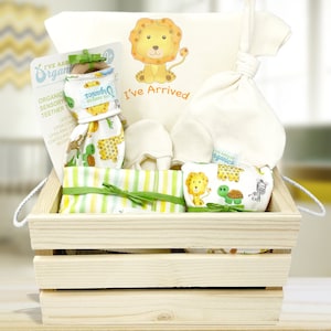 Baby Gift Basket, Lion Baby Gift Basket, Jungle Nursery, Baby Shower Gift, Newborn Baby Gift, Safari Baby, Corporate Baby Gift image 1