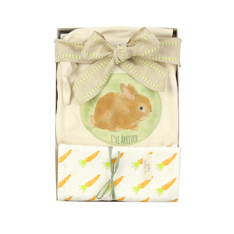 Organic Baby Clothes burpcloth Bunny Baby Clothes Baby Gifting Baby Shower Gift washcloth Baby Bodysuit knot cap Gender Neutral Baby