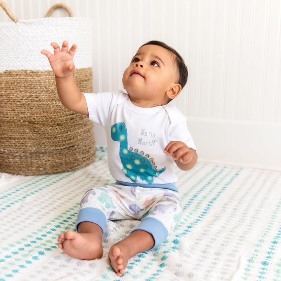 Organic Cotton Baby Boy Gift Basket, Dinosaur Theme Baby Shower