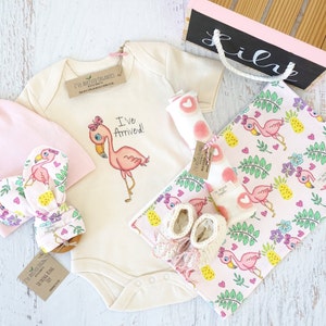 baby girl clothes basket