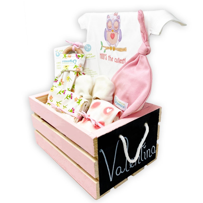 Baby Mädchen Geschenkkorb, Bio-Baby-Kleidung, personalisiertes Baby-Geschenk, Bio-Eule handgemachtes Set, Baby-Dusche-Geschenk, nach Hause kommen Baby Mädchen Bild 2