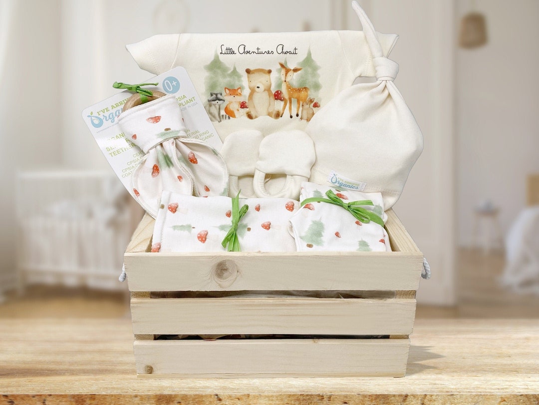 Gender Neutral Baby Gift Basket, Organic Baby Clothes, Forest Animals ...