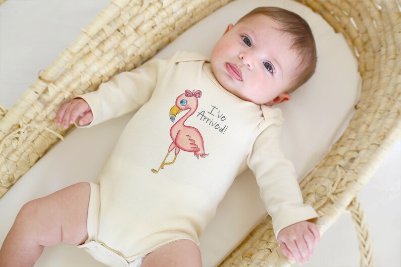 Personalized Baby Gift Baby Girl Gift Basket Baby Flamingo Organic Baby Clothes Organic Handmade Set Baby Shower Gift I/'ve Arrived