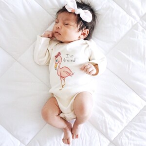 baby girl clothes basket