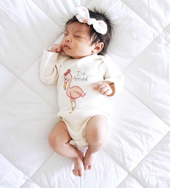 Flamingo Florida Baby Onesie Flamingo Florida Baby Onesie