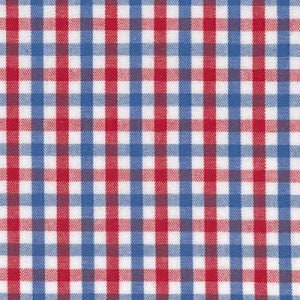 May include: A close-up of a fabric with a gingham pattern. The pattern features a grid of red and blue squares against a white background. The fabric is tightly woven and appears to be cotton or a similar material.