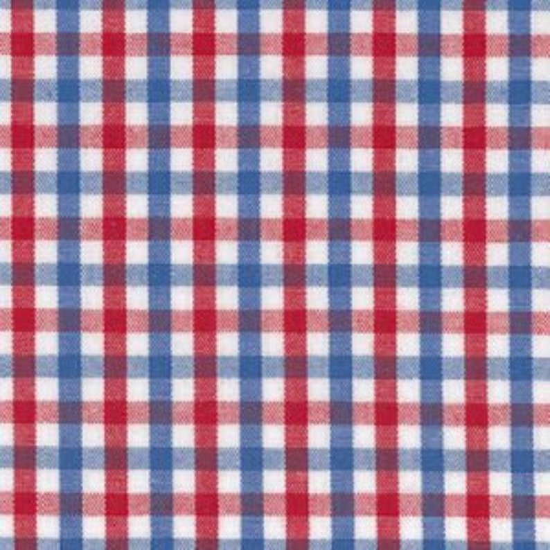May include: A close-up of a fabric with a gingham pattern. The pattern features a grid of red and blue squares against a white background. The fabric is tightly woven and appears to be cotton or a similar material.