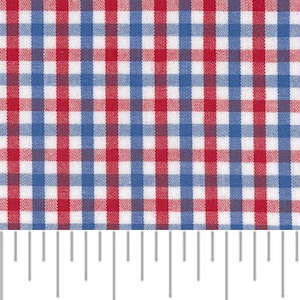 May include: Close-up of a fabric with a red, white, and blue gingham pattern. The fabric is marked with a ruler showing inches. The pattern is a classic design, with evenly spaced squares.