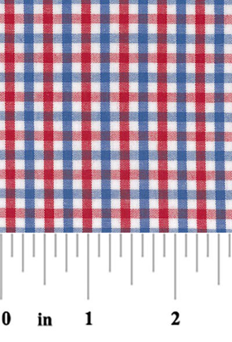 May include: Close-up of a fabric with a red, white, and blue gingham pattern. The fabric is marked with a ruler showing inches. The pattern is a classic design, with evenly spaced squares.
