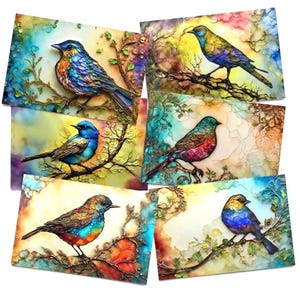 May include: A collection of six rectangular art prints featuring detailed illustrations of birds perched on branches. Each bird displays vibrant, multi-colored plumage against abstract, watercolor-style backgrounds with swirling patterns and soft hues.