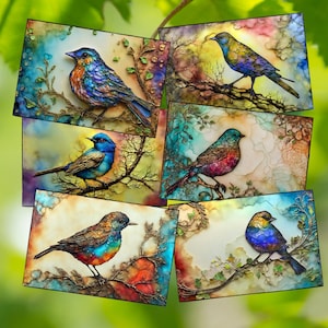 Alcohol Ink Bird Note Cards: Unique All Occasion Stationery Set