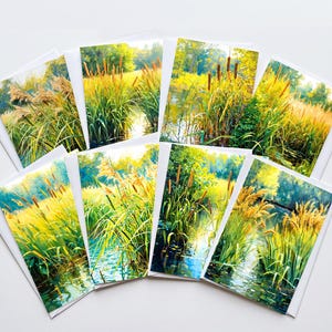 May include: A collection of seven rectangular greeting cards arranged in a fan shape. Each card features a vibrant, colorful illustration of a marshland scene with tall green reeds, brown cattails, and water reflecting bright yellow sunlight.