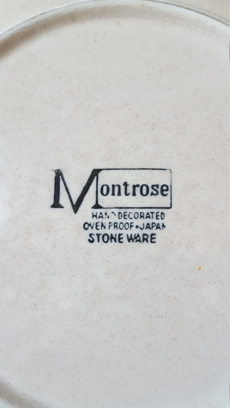 super cute floral print! Set of 4 Montrose Stoneware Dinner Plates