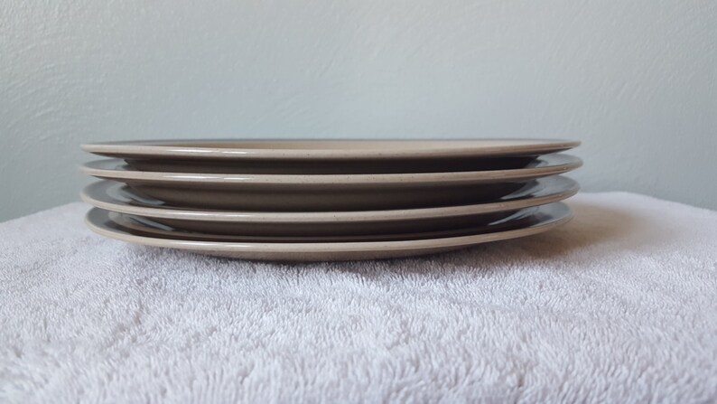 super cute floral print! Set of 4 Montrose Stoneware Dinner Plates