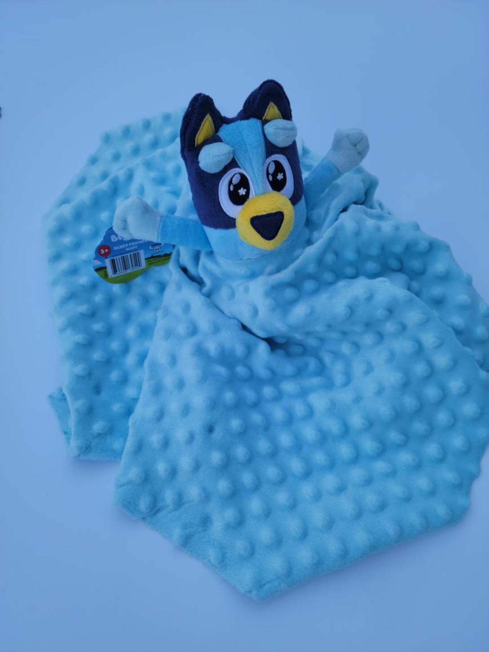 Lovey Bluey Stuffed Animal Plush Security Blanket for Babies & Etsy