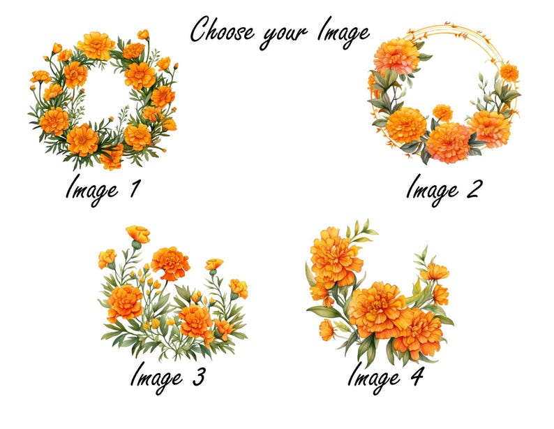 K&ouml;nnte beinhalten: Aquarellillustrationen von Ringelblumen in verschiedenen Anordnungen. Bild 1 zeigt einen Kranz, Bild 2 ein kreisf&ouml;rmiges Design, Bild 3 eine Ansammlung und Bild 4 einen Halbkreis. Der Text "Choose your Image" steht oben.