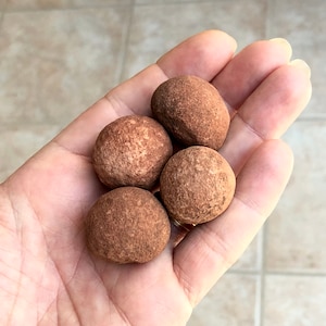 May include: Four smooth, round, brown stones in a hand. The stones are similar in size and shape, with a slightly rough texture.