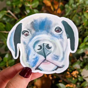 Pitbull Mastiff Mix Etsy
