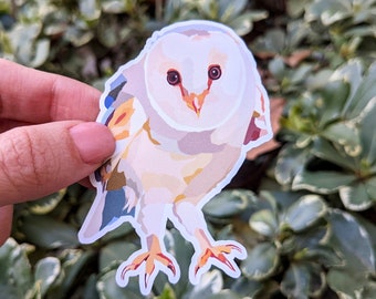 Barn Owl Colorful Matte Finish Vinyl Sticker - Owl Die Cut Sticker