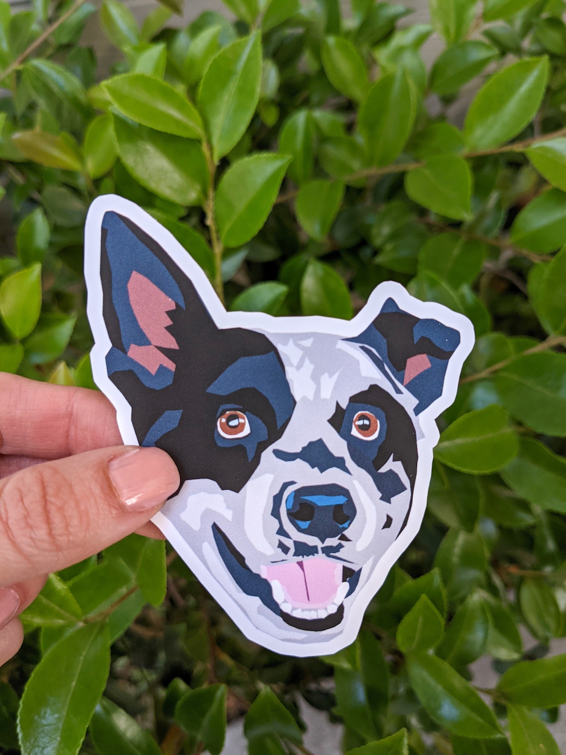 australian cattle dog blue queensland heeler sticker dog etsy