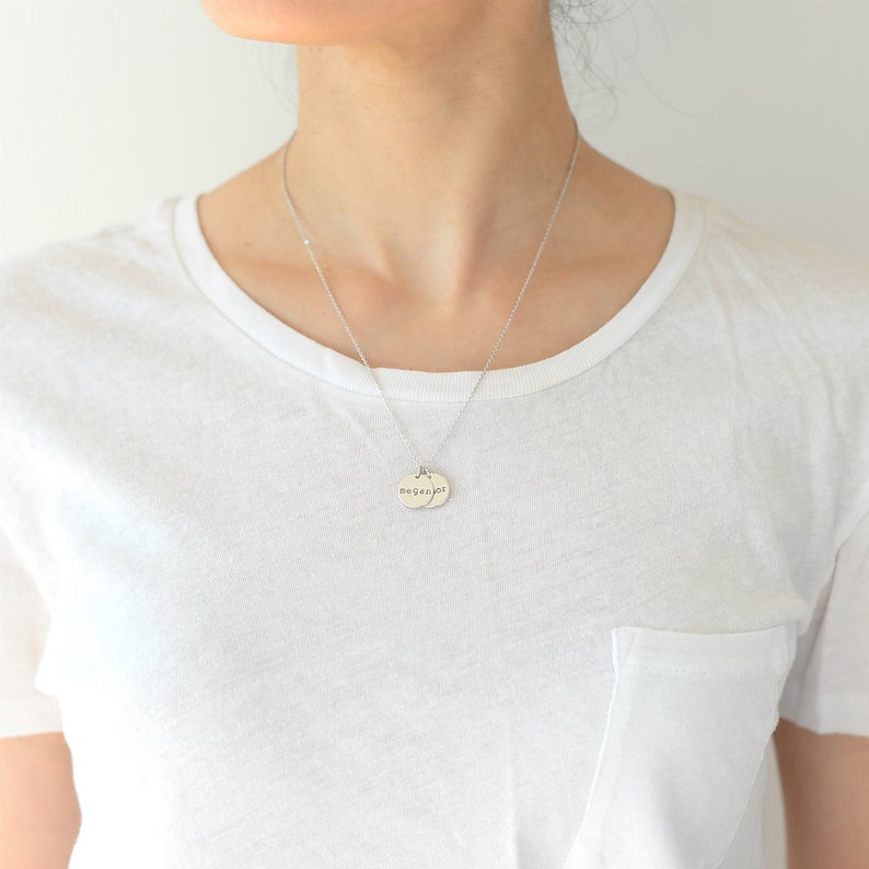 Op de afbeelding: Een zilveren ketting met twee ronde hangers. De hangers zijn gegraveerd met het woord "Megan" op de ene en "Joy" op de andere.