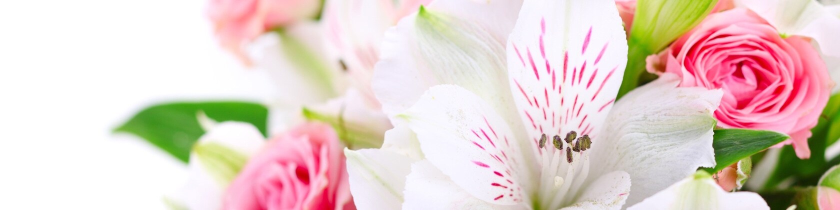 1KnittyLittleThing - Etsy