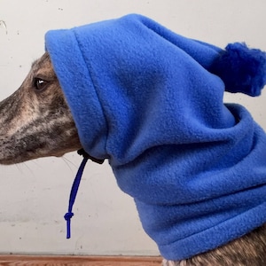Peut inclure: Un lévrier portant un col roulé en polaire bleu avec une capuche et un petit pompon sur le dessus de la capuche.