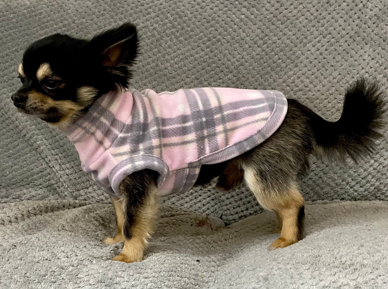 Chihuahua coat /chihuahua fleece housecoat/ jumper Etsy