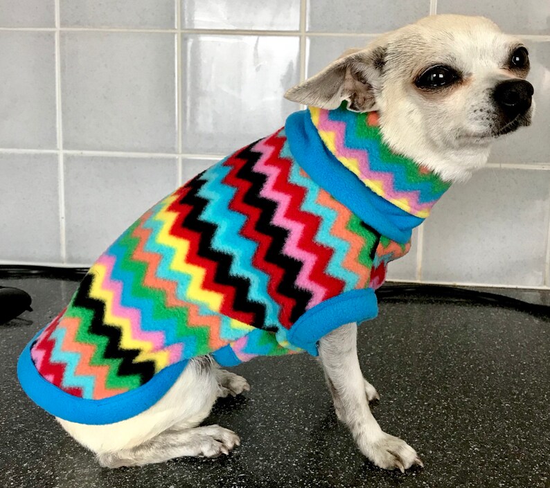 chihuahua fleece housecoat