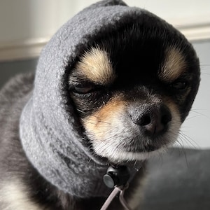 Chihuahua fleece hat /dog snood/dog hat