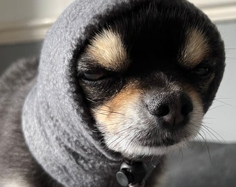 May include: A small black and brown chihuahua wearing a gray hooded sweater. The dog is looking directly at the camera with a serious expression.