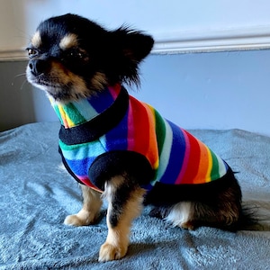 Chihuahua coats outlet uk