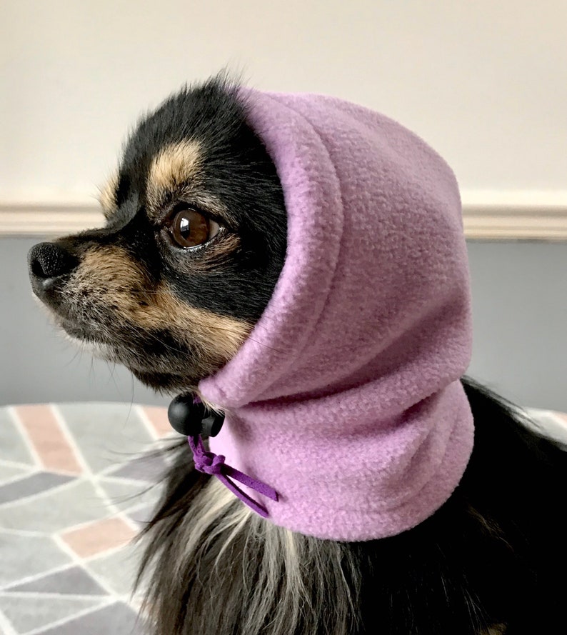 Chihuahua Fleece Hat /dog Snood/dog Hat Etsy