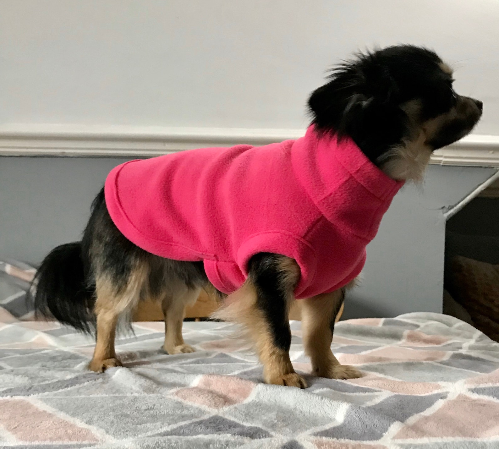 Chihuahua coat /chihuahua fleece housecoat/ jumper Etsy