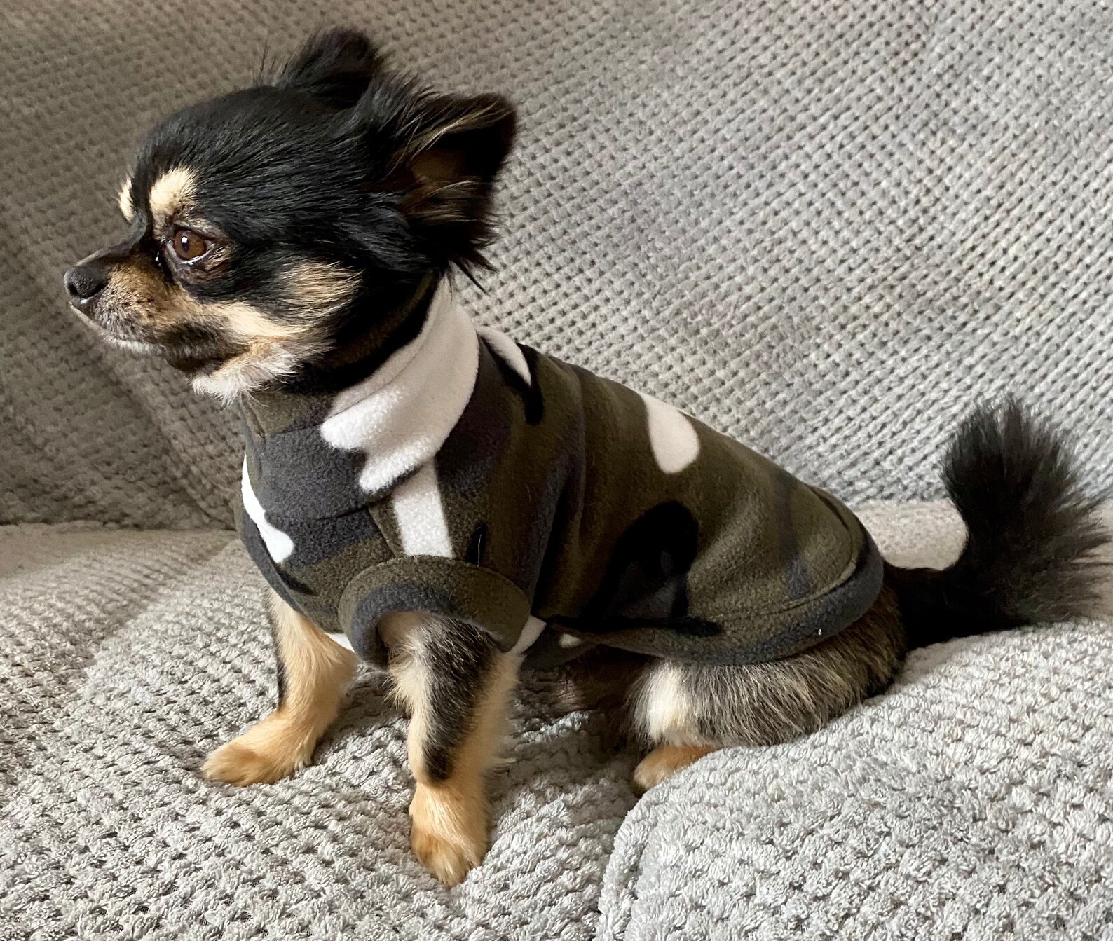 Chihuahua coat /chihuahua fleece housecoat/ jumper Etsy