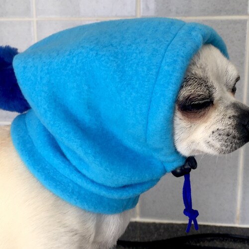Chihuahua Pom Pom Hat /dog Snood/dog Hat Etsy UK