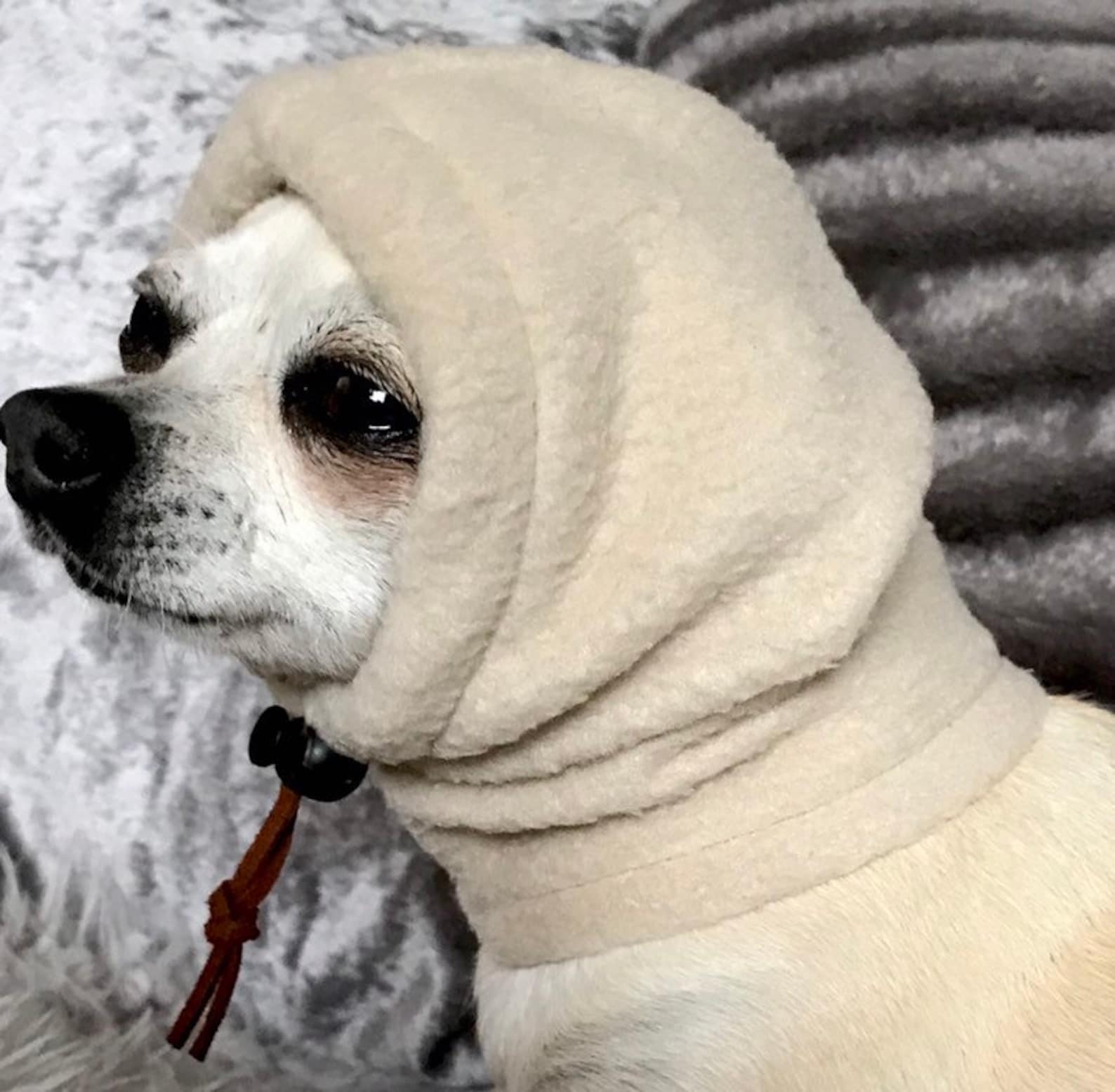 Chihuahua Fleece Hat /dog Snood/dog Hat Etsy