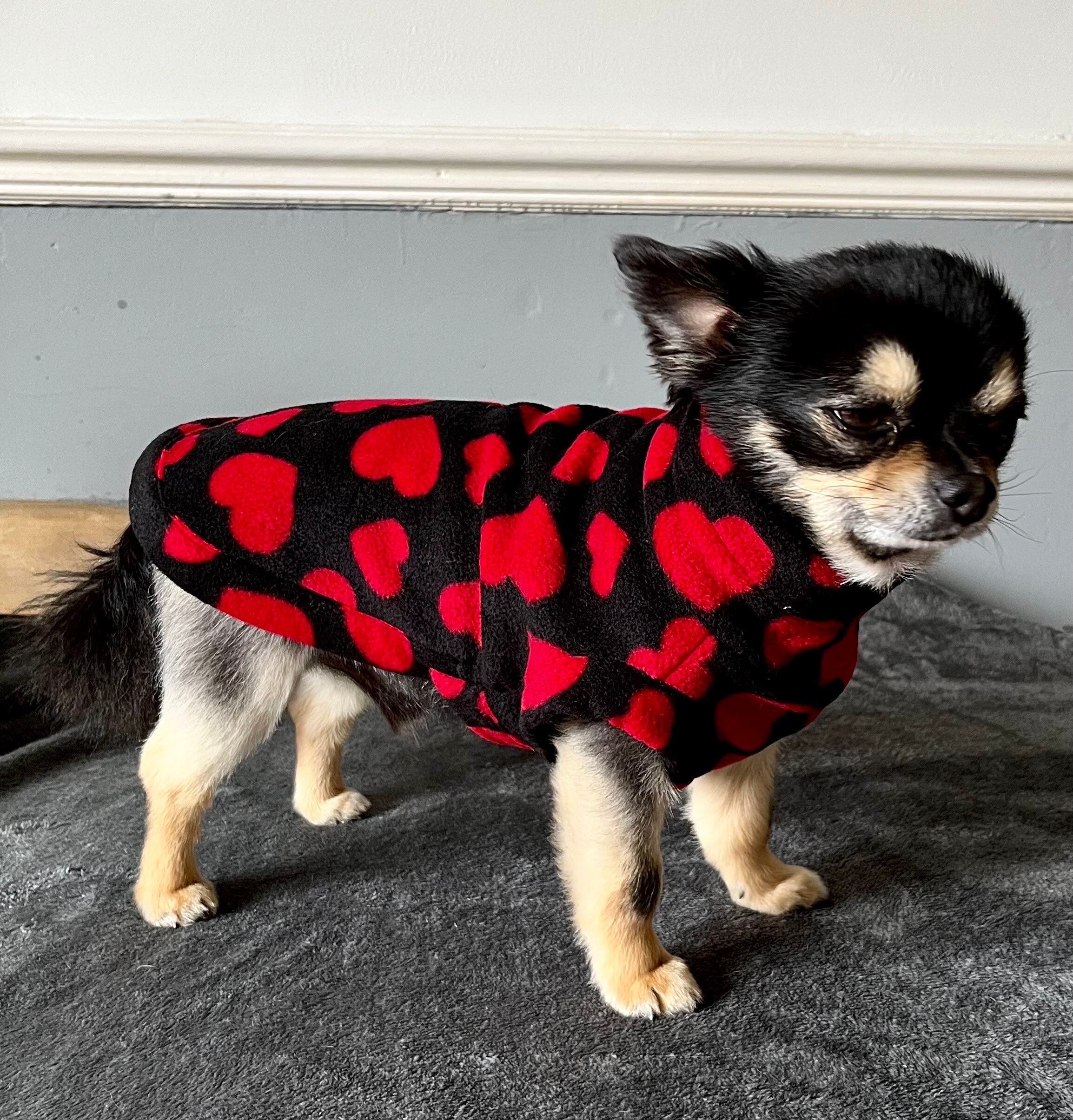Chihuahua bathrobe hotsell