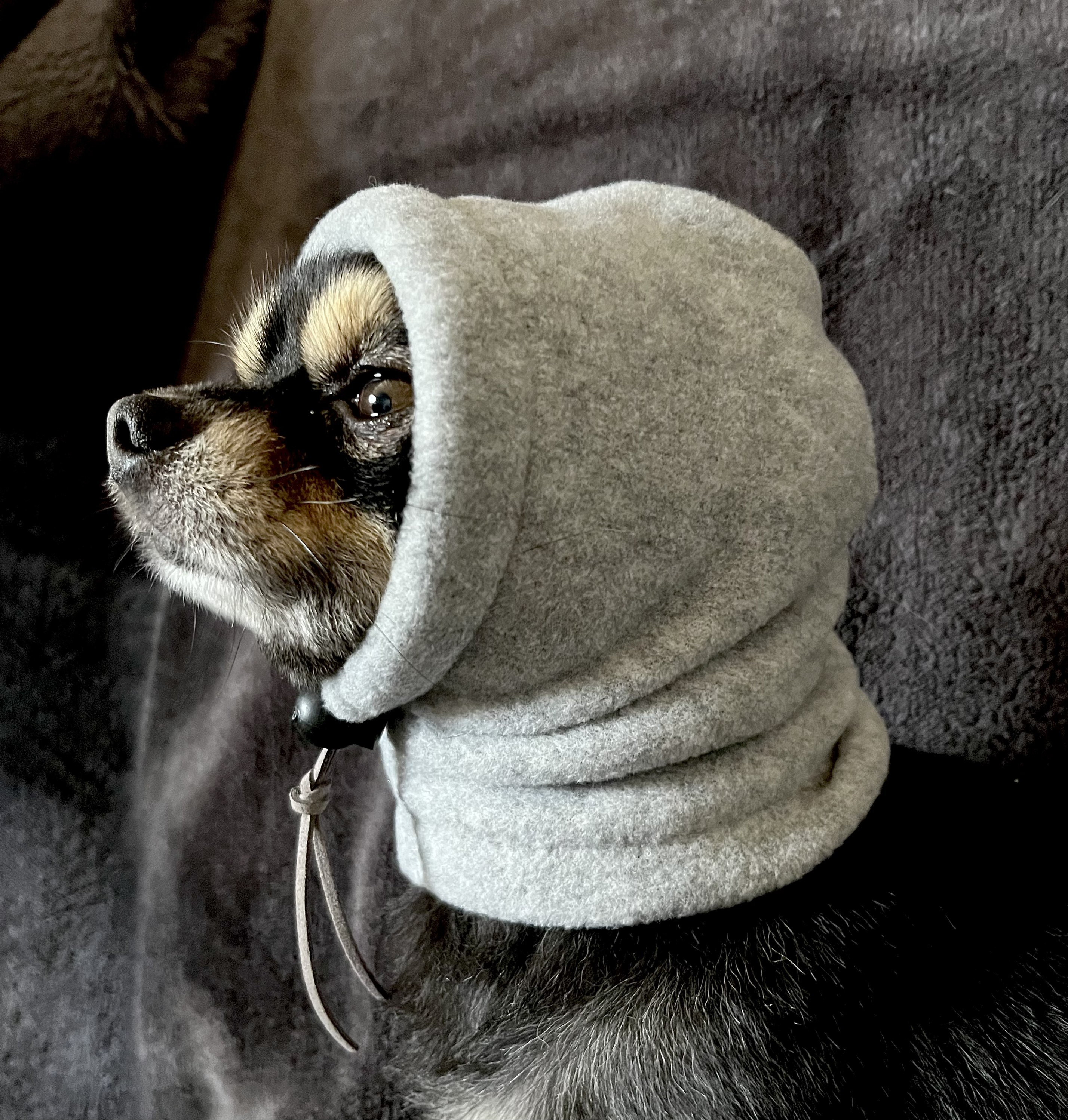 Wool Dog Hat Etsy Canada