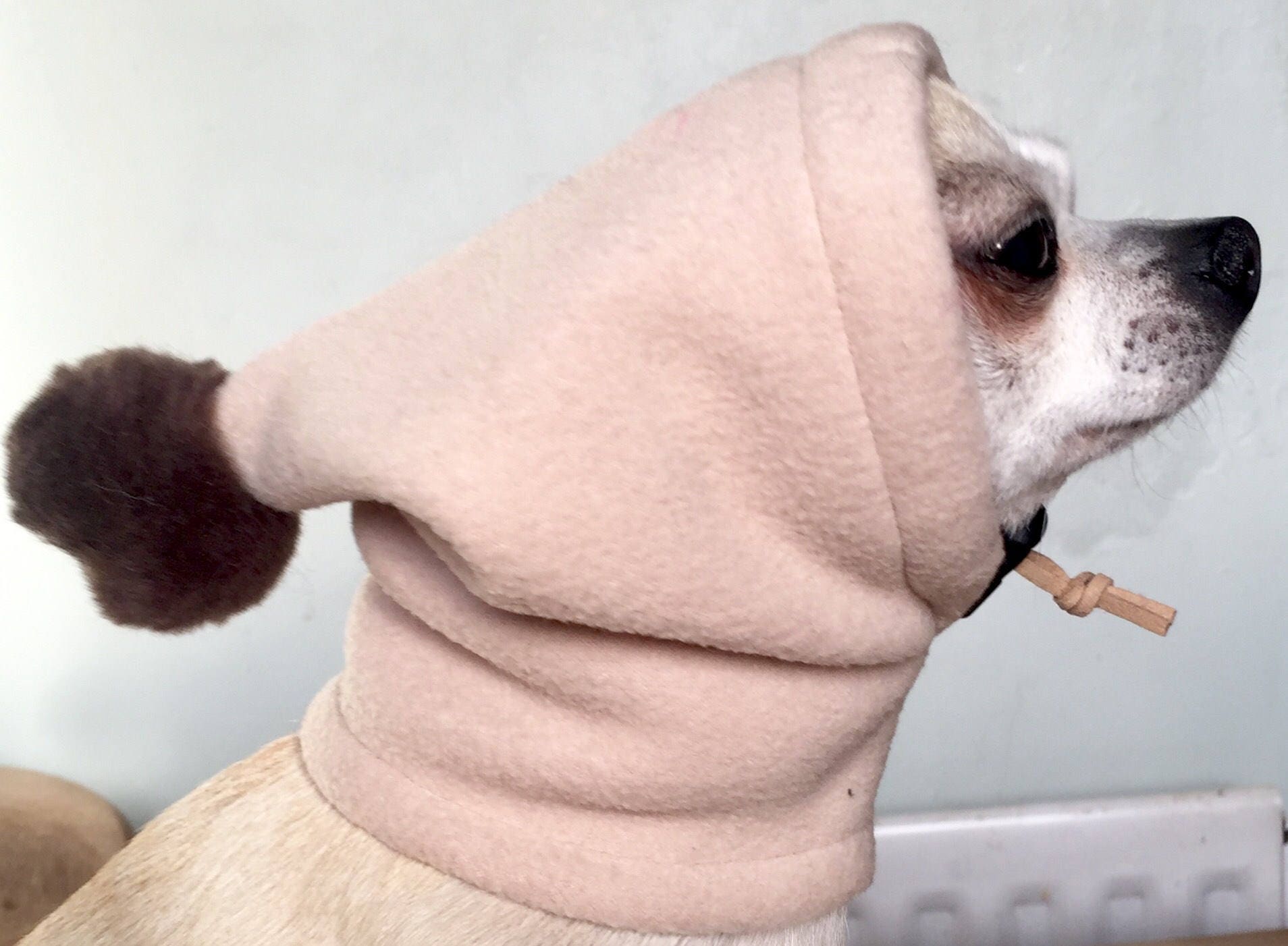 Chihuahua Pom Pom Hat /dog Snood/dog Hat - Etsy