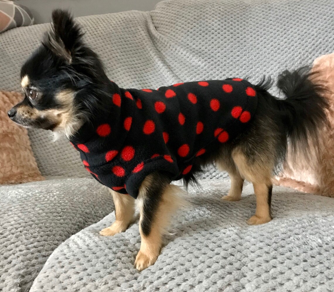 Manteau chihuahua /chihuahua polaire manteau/ pull Etsy