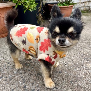 Pode incluir: Um pequeno cão Chihuahua preto, castanho e branco usando um casaco de lã polar bege. O casaco é estampado com folhas de outono vermelhas, laranja e amarelas. O cão está em pé sobre uma superfície de concreto cinza.