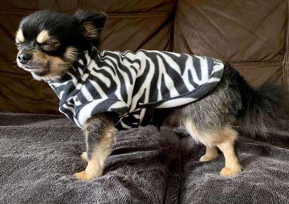 Chihuahua jumpers online