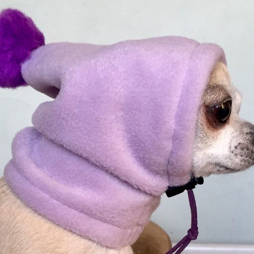 Chihuahua Pom Pom Hat /dog Snood/dog Hat Etsy