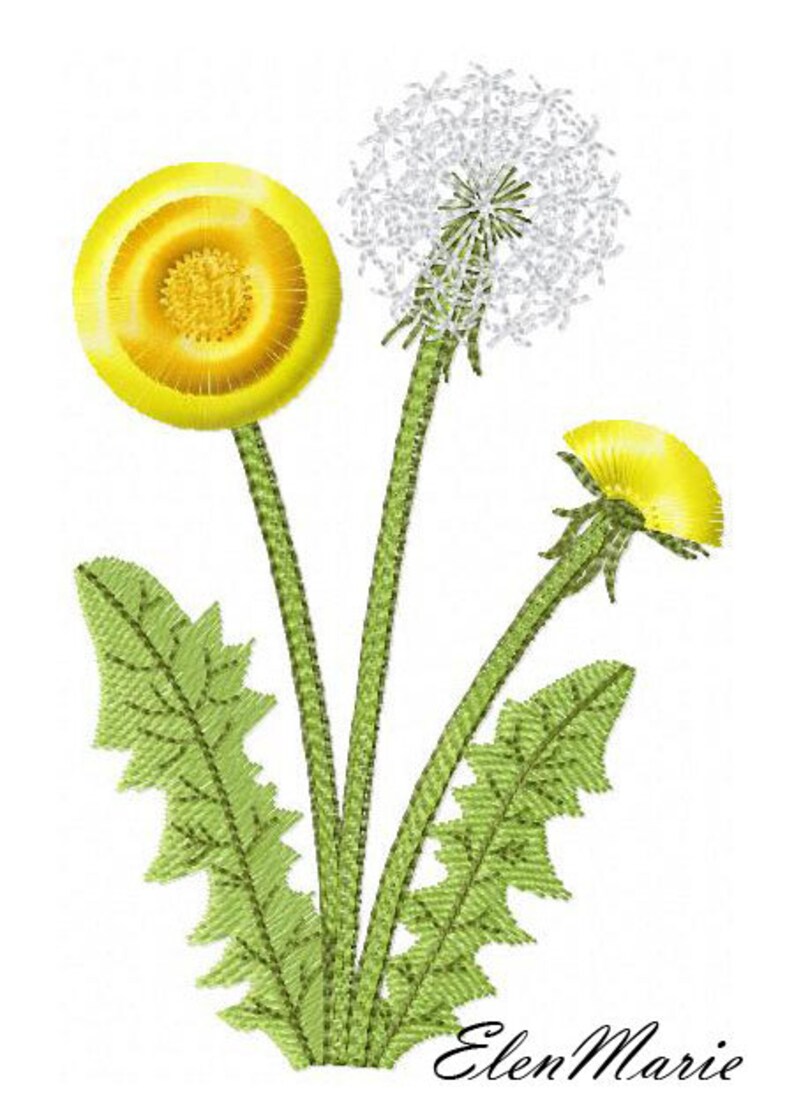 Dandelion Fringe Machine embroidery design Dandelion Etsy