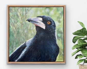 Impresión giclée de una urraca australiana: pintura de aves australianas