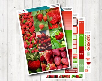 planner sticker kit für Happy Planner und vertikal standard Planner / weekly kit auch a la carte verfügbar / Erdbeeren