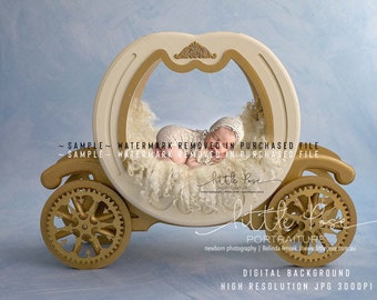 Digital Background Backdrop Newborn Photography Unique - A Princess Carriage - High Resolution JPG file