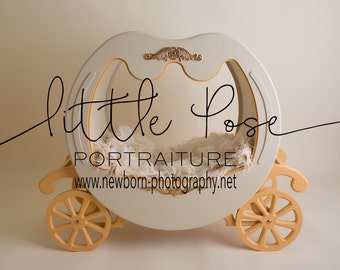 Little Pose ~ Carriage Newborn Digital Background High Res jpg file